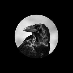 黑人玩弄人妻一区二区三区
