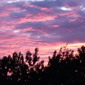 黑人玩弄人妻一区二区三区
